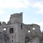 Ruiny Zamku W Ogrodz