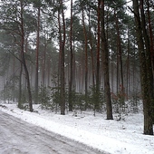 Zima W Pełni.