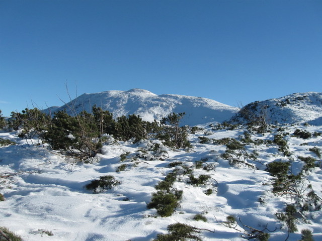 Babia Góra - zimowe wejście