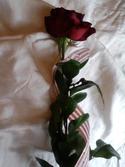 Walentynkowa róża :)