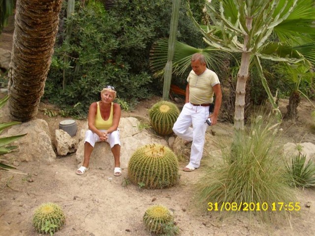 Kaktusy z Hiszpani