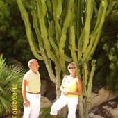 Kaktusy z Hiszpani