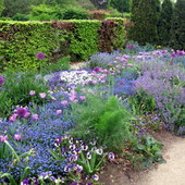 ogród  Moneta w Giverny