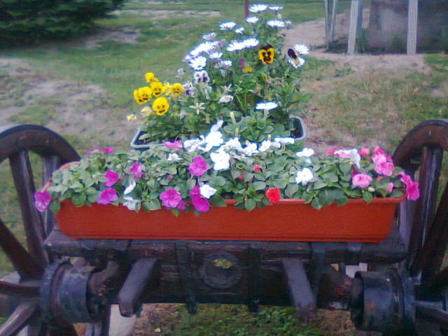 wóz z kwiatami