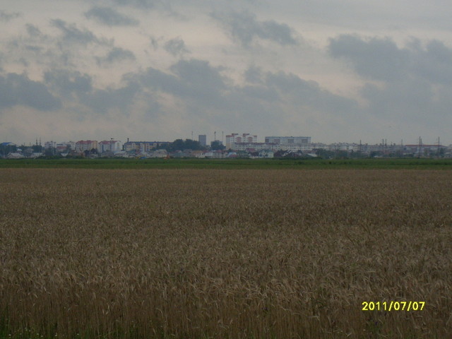 Widok na Kalinkowicze Białoruś.