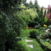 ogród 
