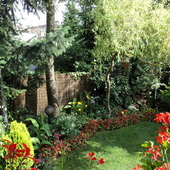 ogród