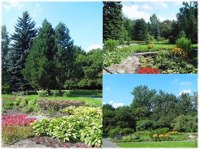 Ogród bylinowy w chorzowskim parku