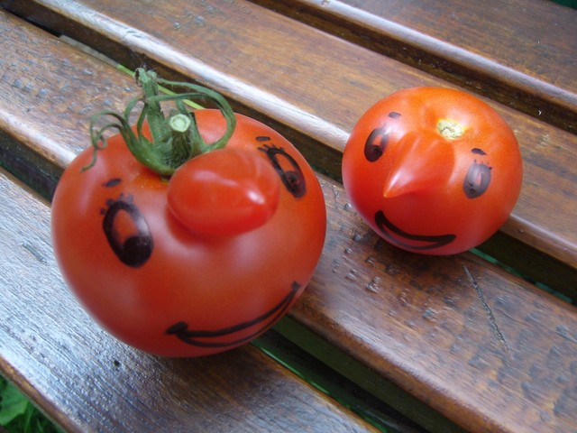 Pan Pomidorek z synkiem Pomidorkiem:)