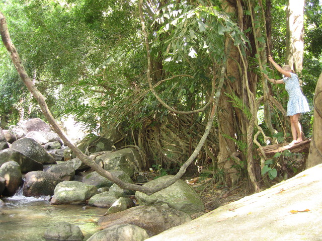W tajlandzkim lesie mozna bawic sie w Tarzana.