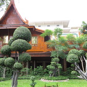 Drzewka bozsai przed domkiem buddyjskich mnichow