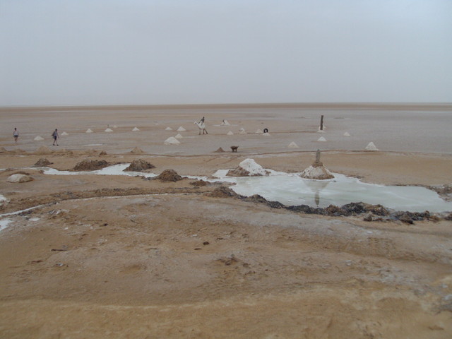 Jezioro słone Tunezja