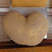 Ziemniak w kształcie SERCA.
