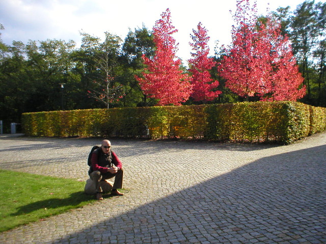 Jesień idzie przez park...albo Barwy jesieni...Klenczon i Czerwone Gitary... ;-)