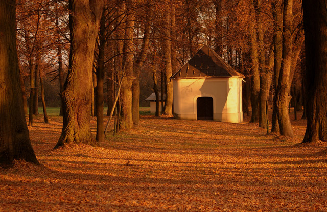 jesień w Parku Krajobrazowym w Górze św. Anny ...