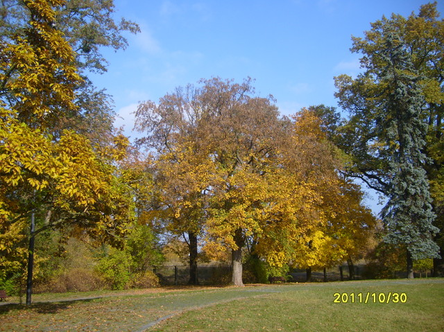 Jesien w parku