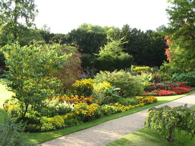 angielski ogród w Cambridge
