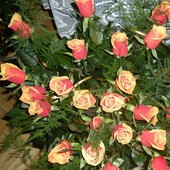Róże dla wszystkich na Nowy Rok!!!!
