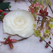 wiosenny kwiat z kalarepy