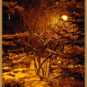 Zimowe uroki wieczorne 2012
