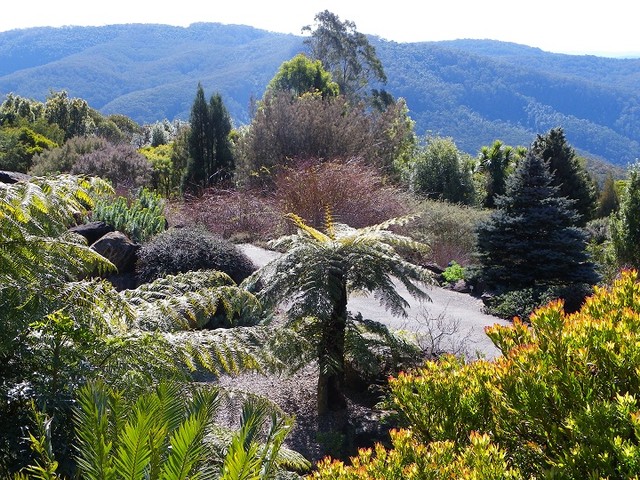 Mt.Tomah Botanic Gardens - Australia