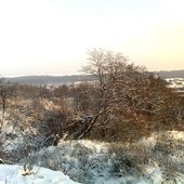 Zimowy widok na Odrę i Jezioro Dabie