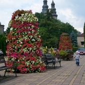 Kwiaty w mieście - Radlin