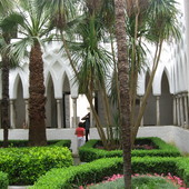 Ogròd  W  Basilica 
