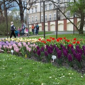 Ogród botaniczny Kraków