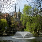Wiosna w Ogrodzie Botanicznym-Wrocław.