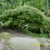 Ogród japoński Przelewice