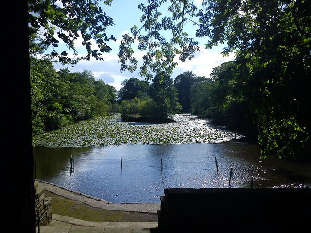 Jeziorko w parku.