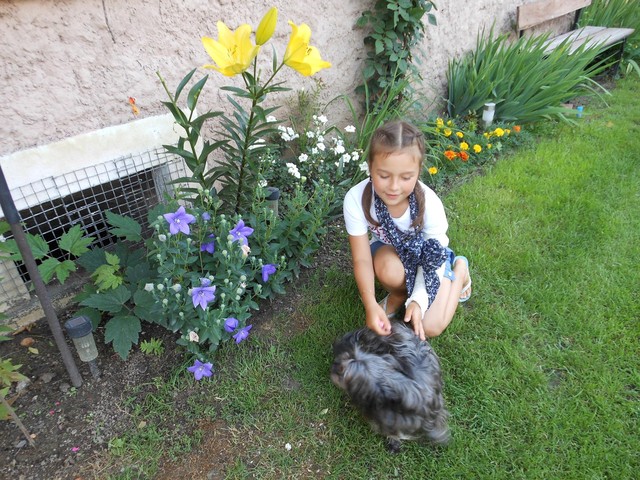 Nasza wnuczka i kwiaty