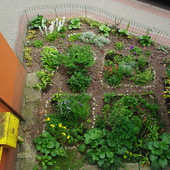 ogródek pod blokiem