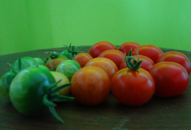 Adio, pomidory, czyli ostatnie pomidory tego lata:(