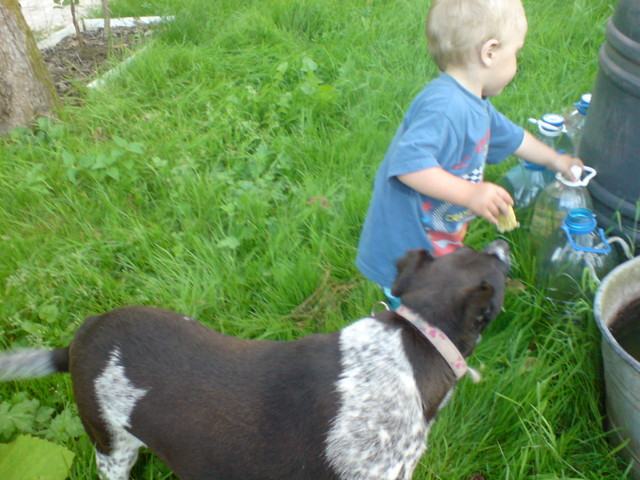 Gabryś pomaga podlewać roślinki, a Sonia nie opuszcza go na krok, dziki pies, a tak kocha dzieci