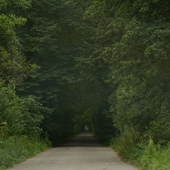 Leśny Tunel