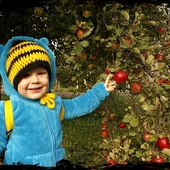 Amelka zbiera jabłuszka :)