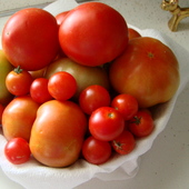 I mamy jesien blisko , resztki pomidorkow z ogrodka