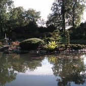 wrocławski ogród japoński