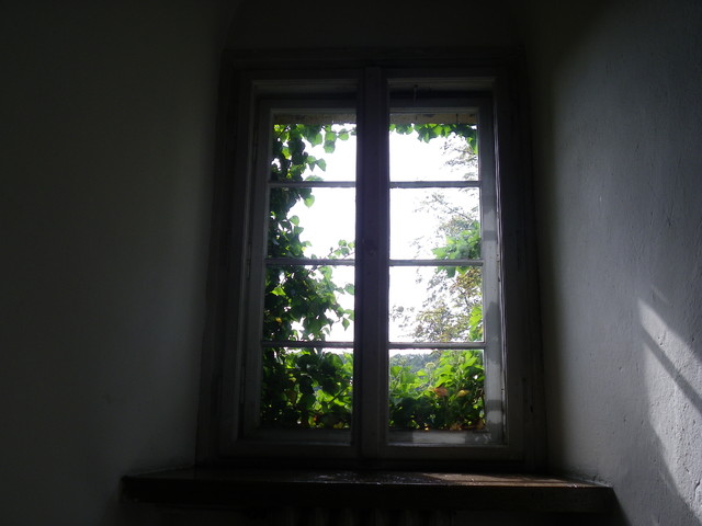 okno pełne zieleni :)