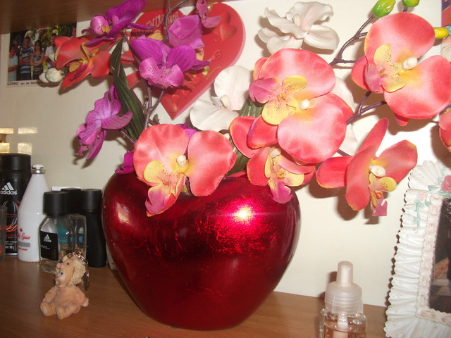 Orchidea:)