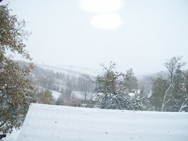 Zimowy widok z okna