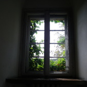 okno pełne zieleni :)