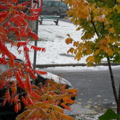 wczoraj jesiennie, dzisiaj zimowo.................