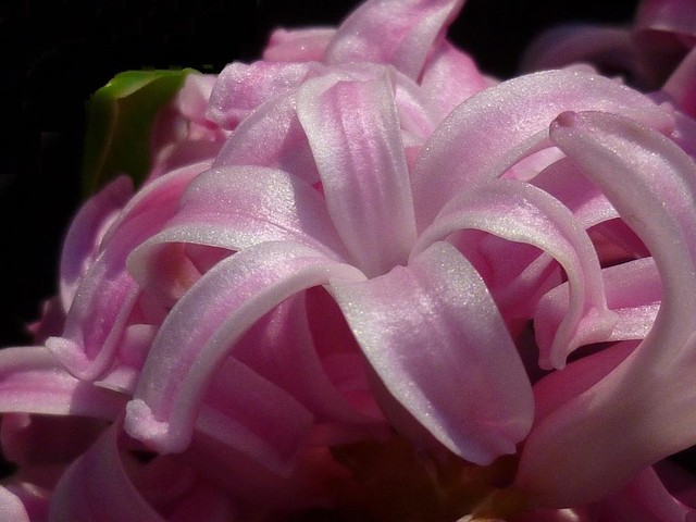 Wieczoru w różowym nastroju Wam życzę i pozdrawiam serdecznie:)))