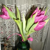 Tulipany w grudniu - bezcenne!!!!!