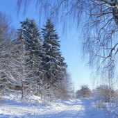 Zima w Giezkowie