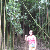 w bambusowym lesie 
