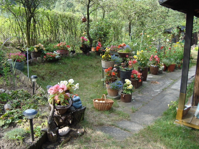 Mój ogródek